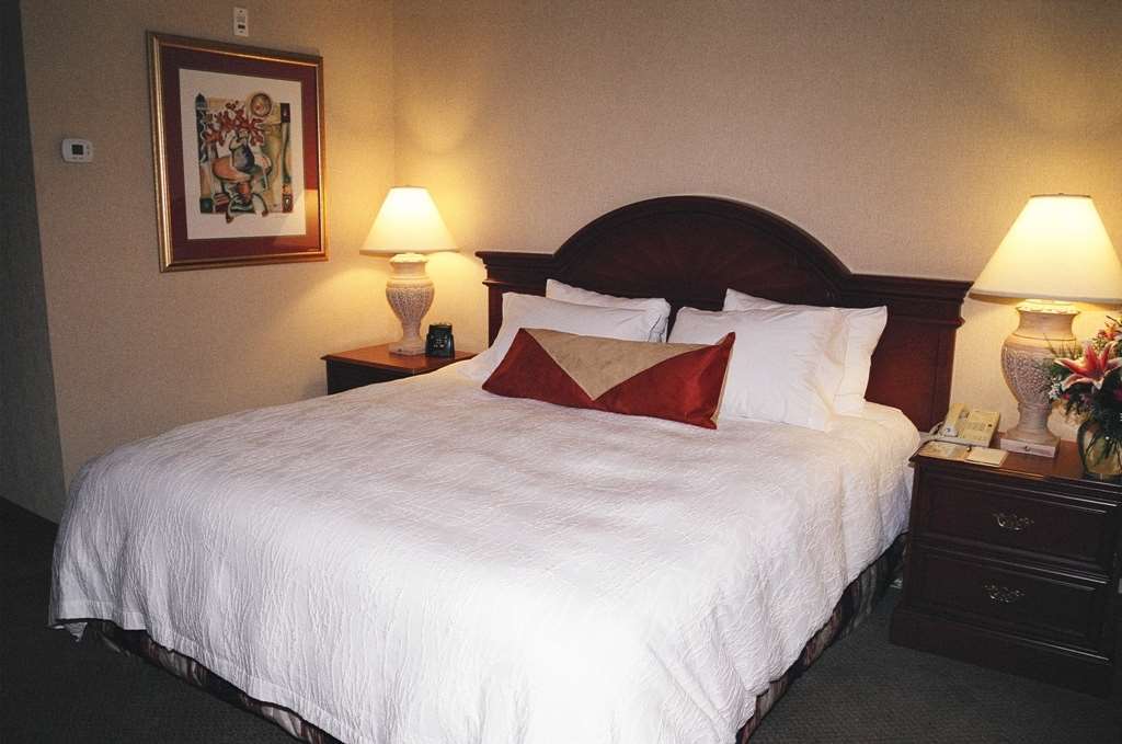Hilton Garden Inn Kitchener/Cambridge Szoba fotó